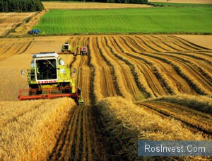 Урожай-2011: Россия соберет в 1,5 раза больше зерна