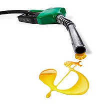 Правительство оседлало цены на бензин в России